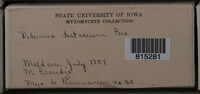 Image Associated With the Occurence
